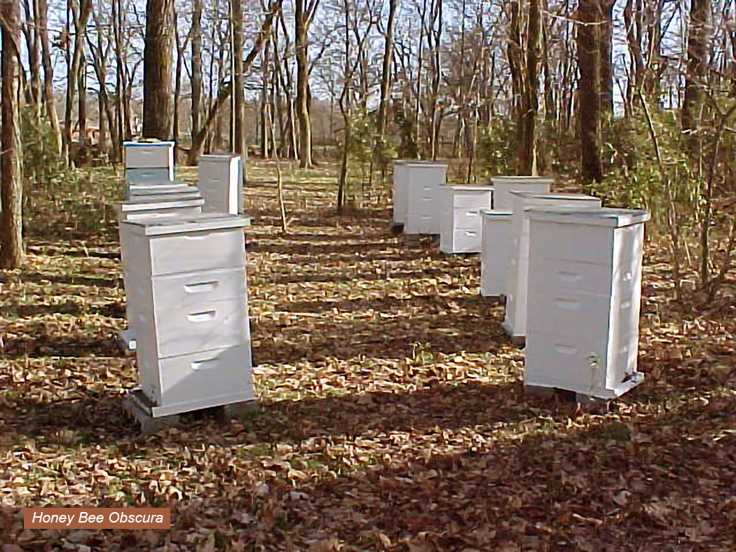 Equalizing Colony Populations