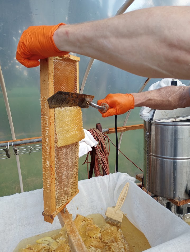 Off the Wahl Beekeeping