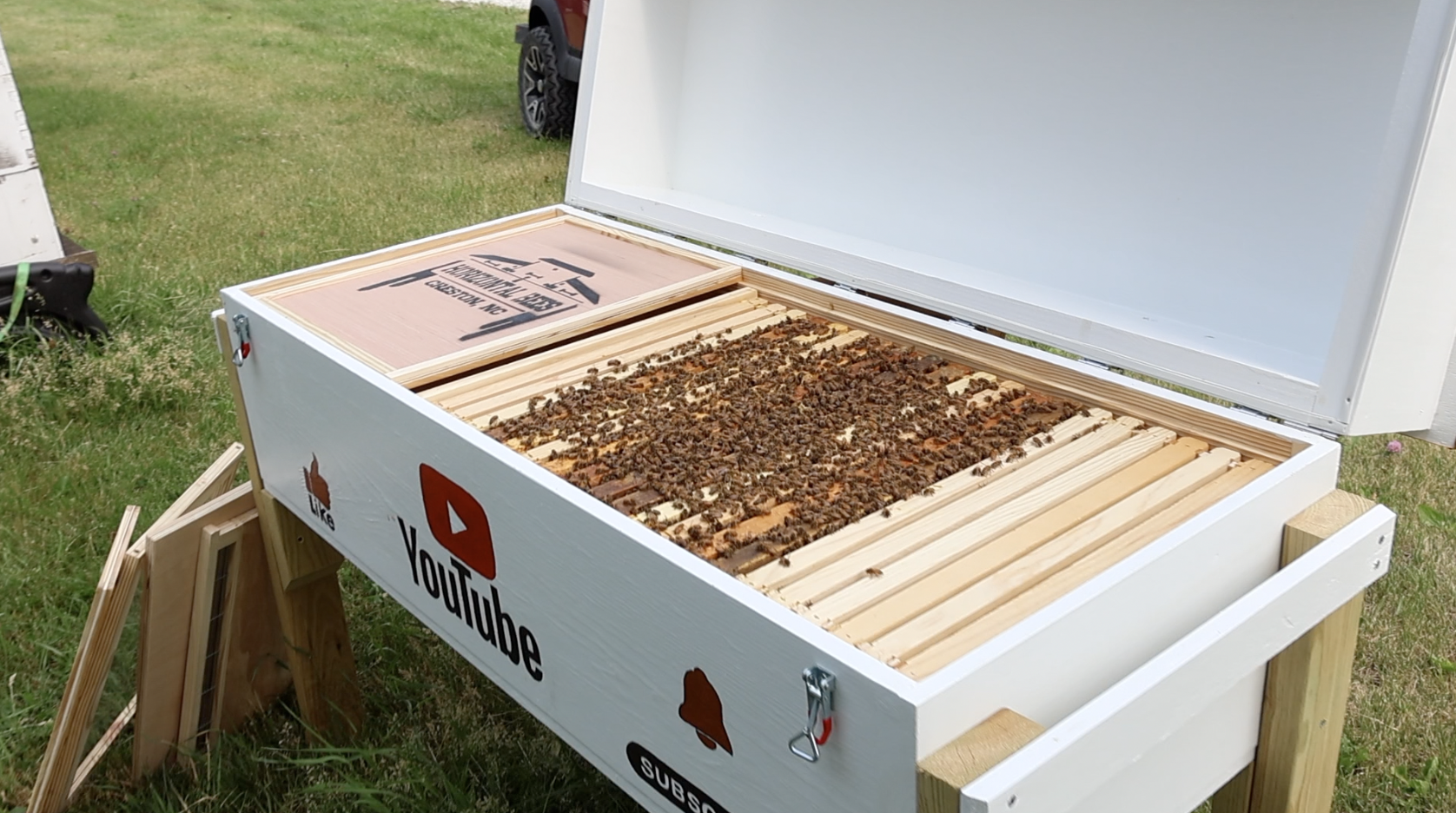 What Beekeeping Taught Me in 2023