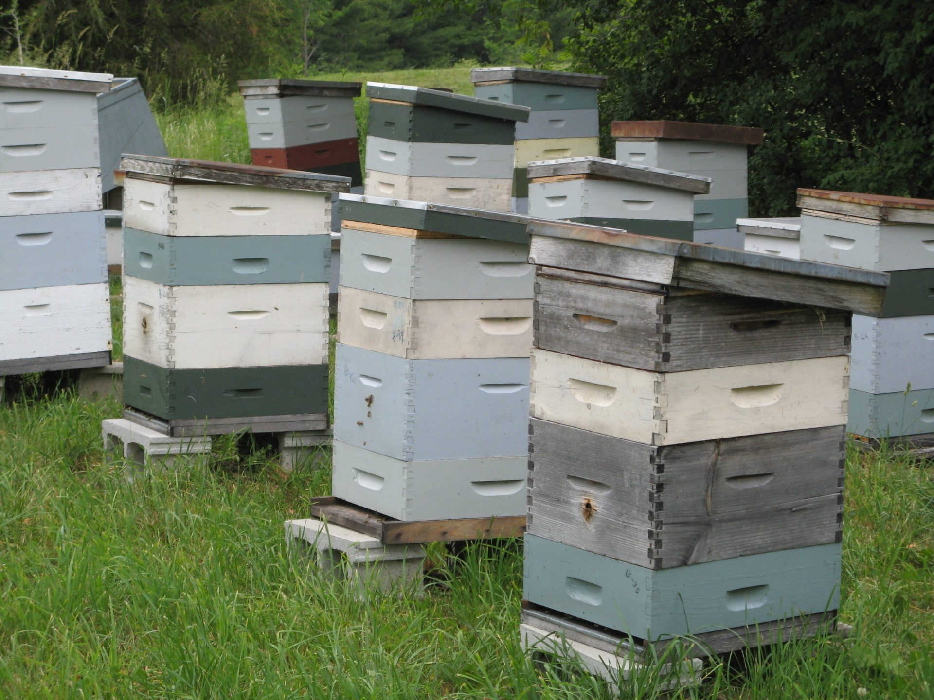 Cooling hives