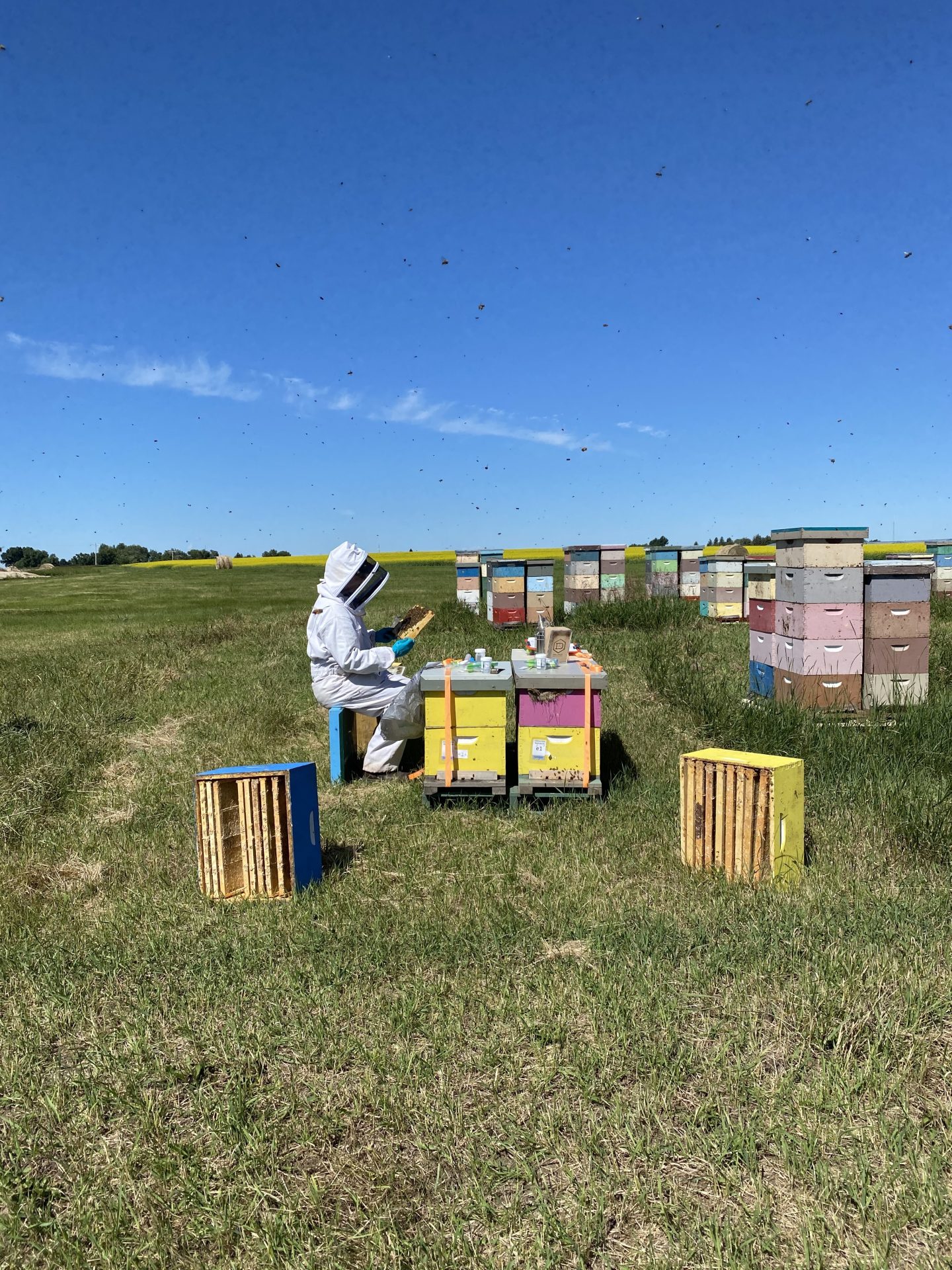 Found in Translation