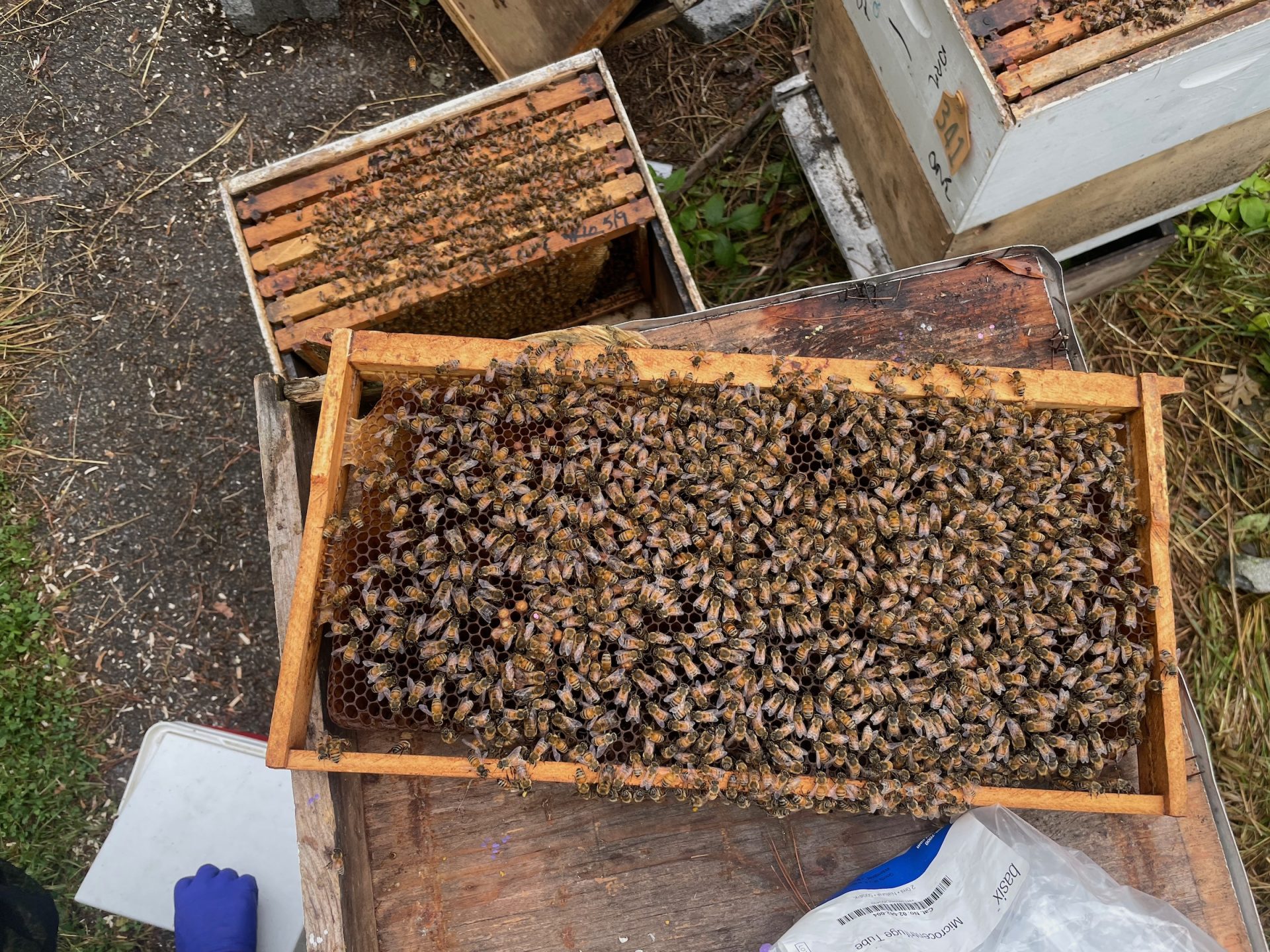 Found in Translation