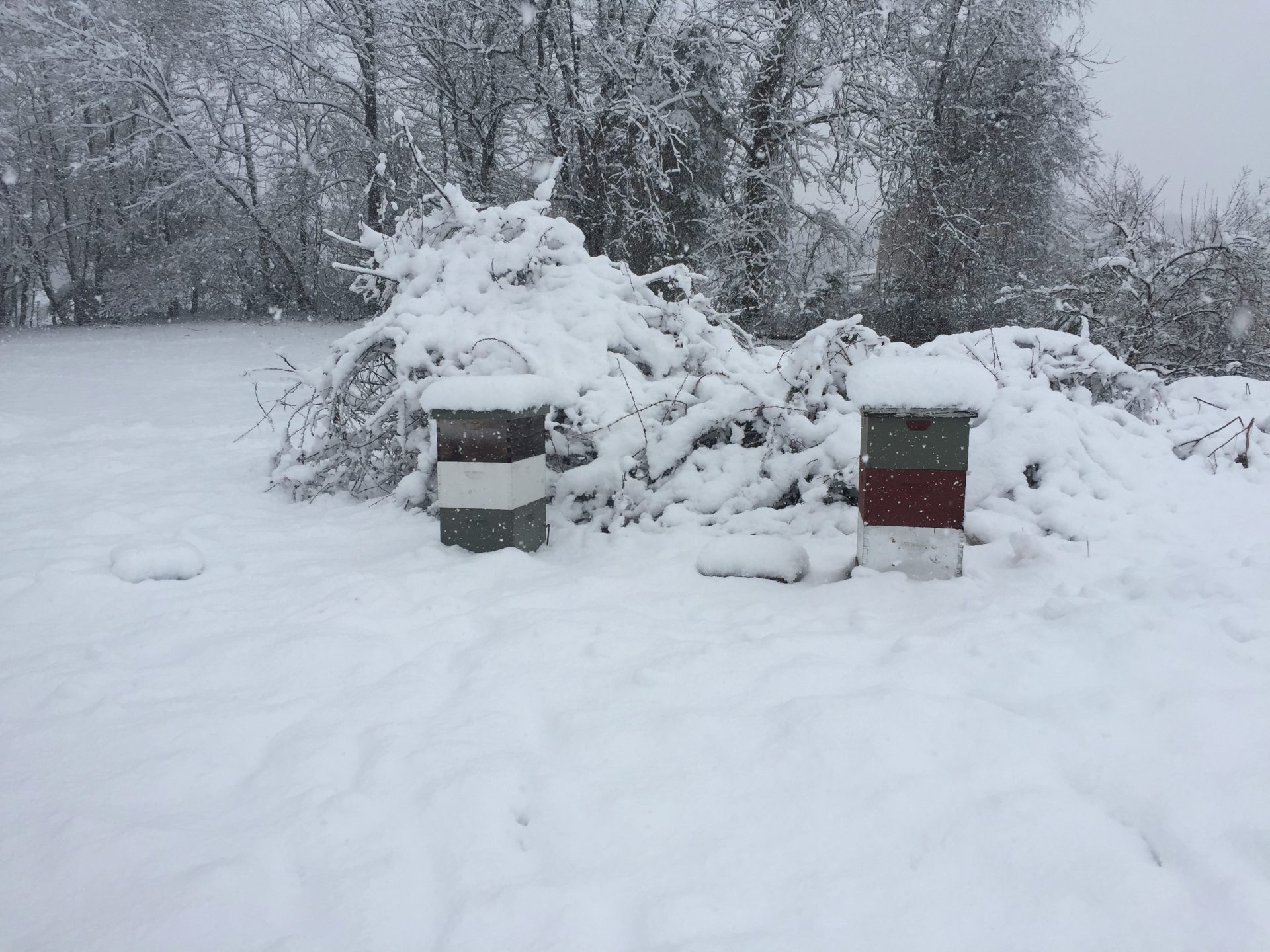 Found in Translation