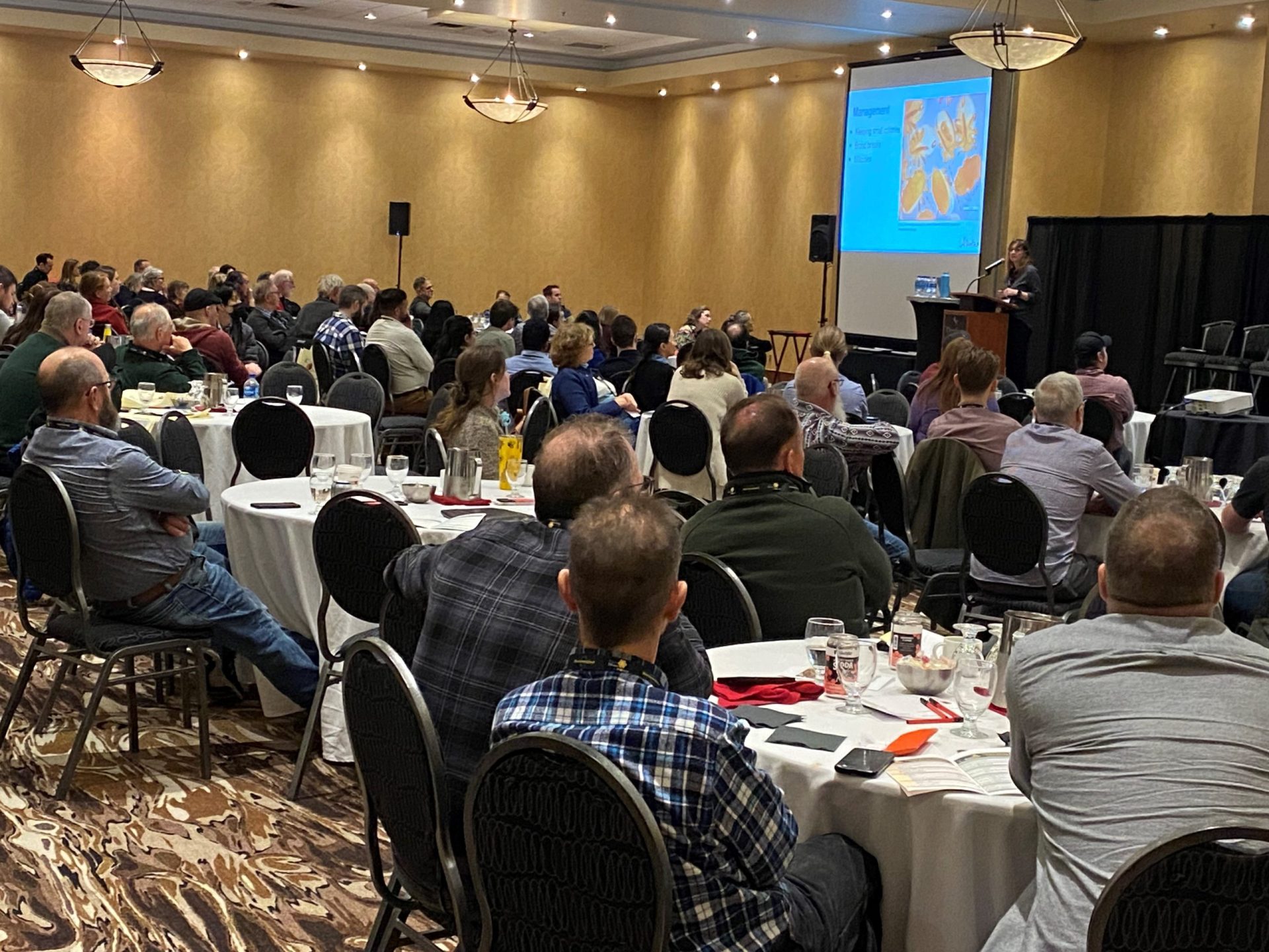 What Vets Do For Fun in the Winter