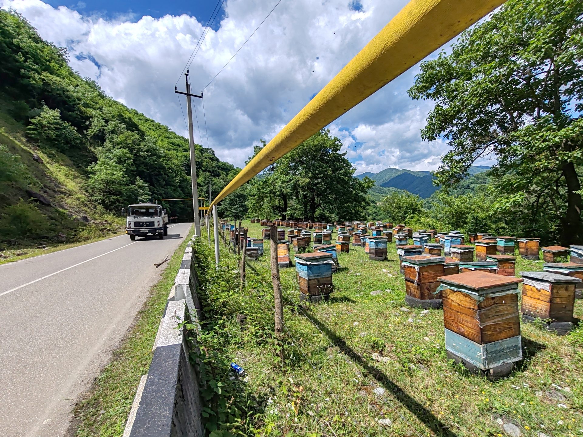 Facing Tropilaelaps – Country of Georgia