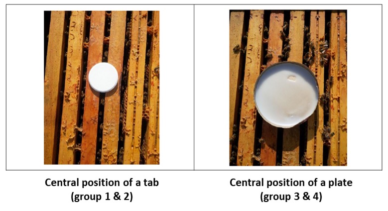 Same Concentration, Different Outcome