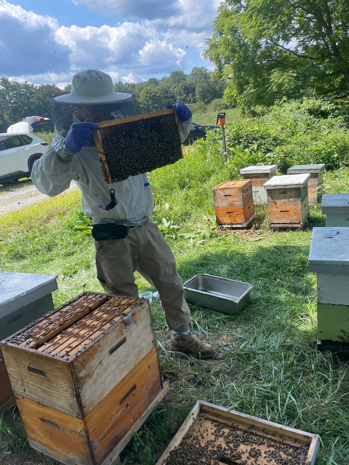 Found in Translation