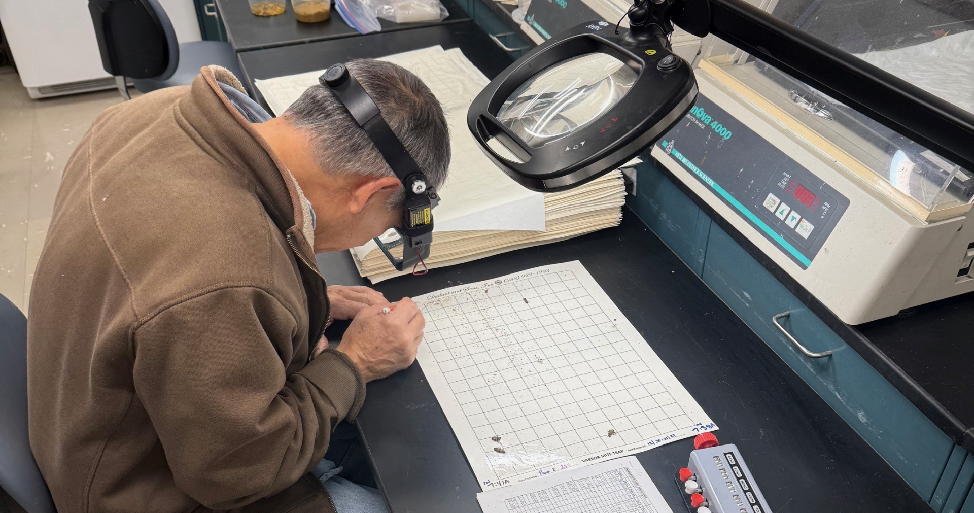 Found in Translation