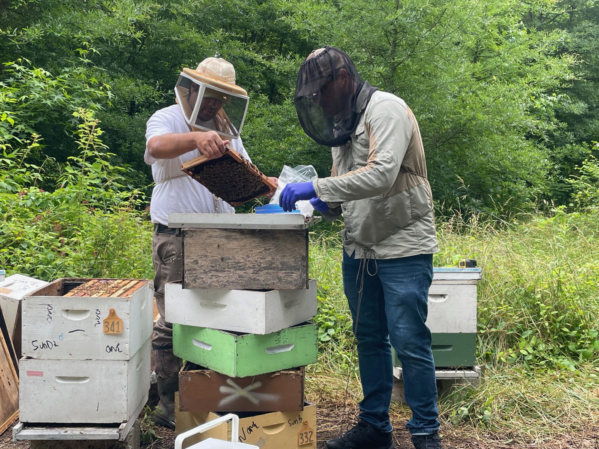 Found in Translation