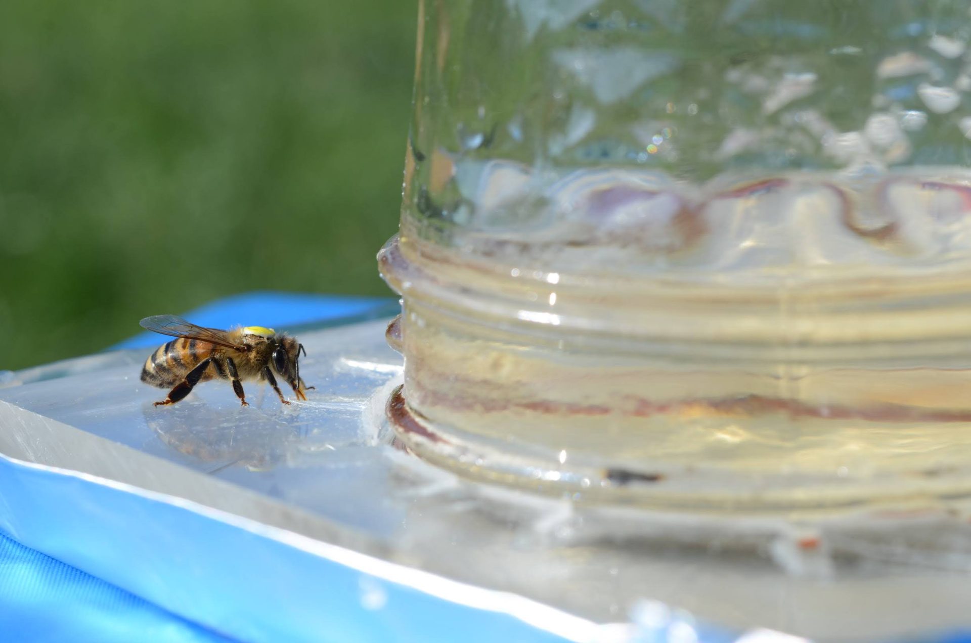 Found in Translation