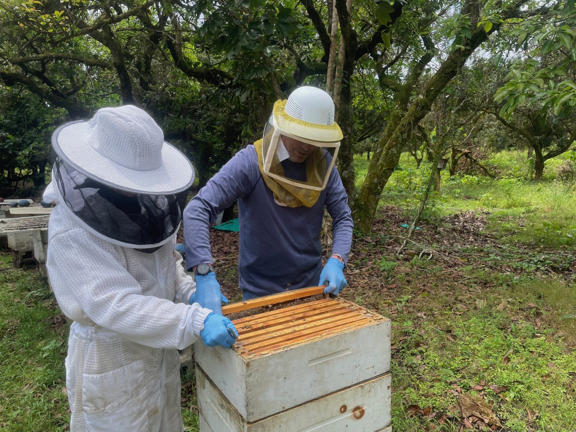 Found in Translation