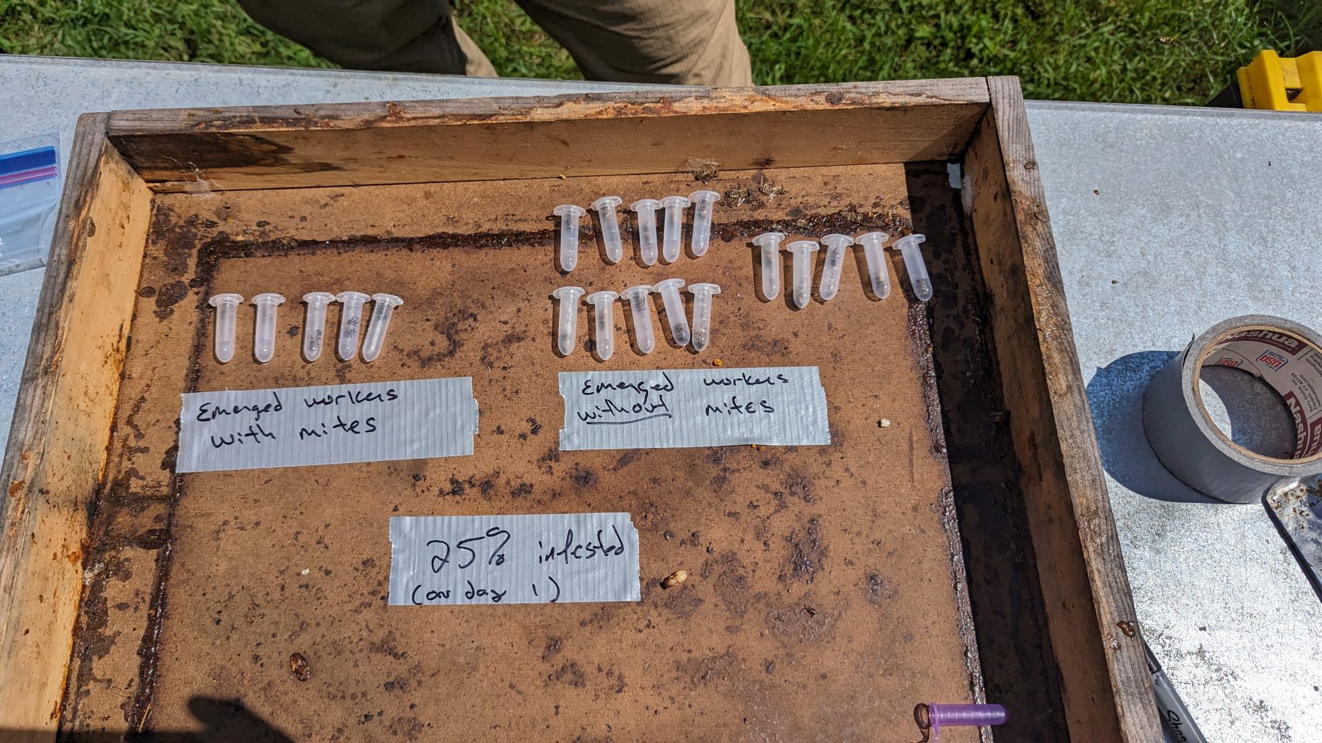 Asymptomatic, But Infested