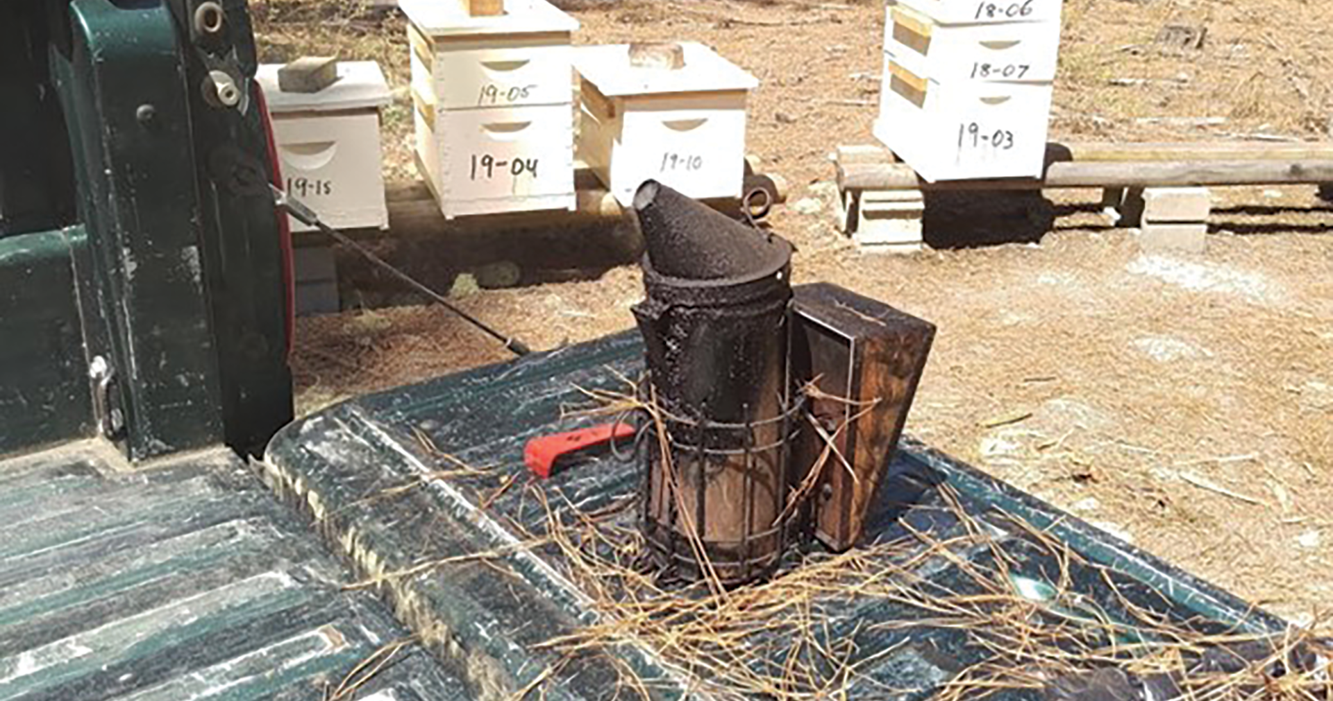 Smoker for beekeeping