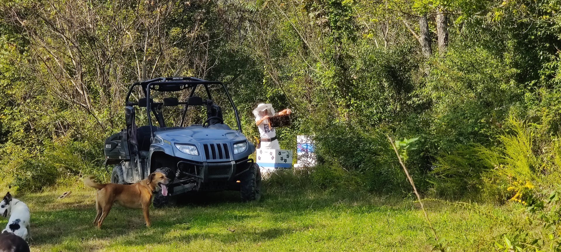 You Got This: Tips for Solo Beekeepers Part 2