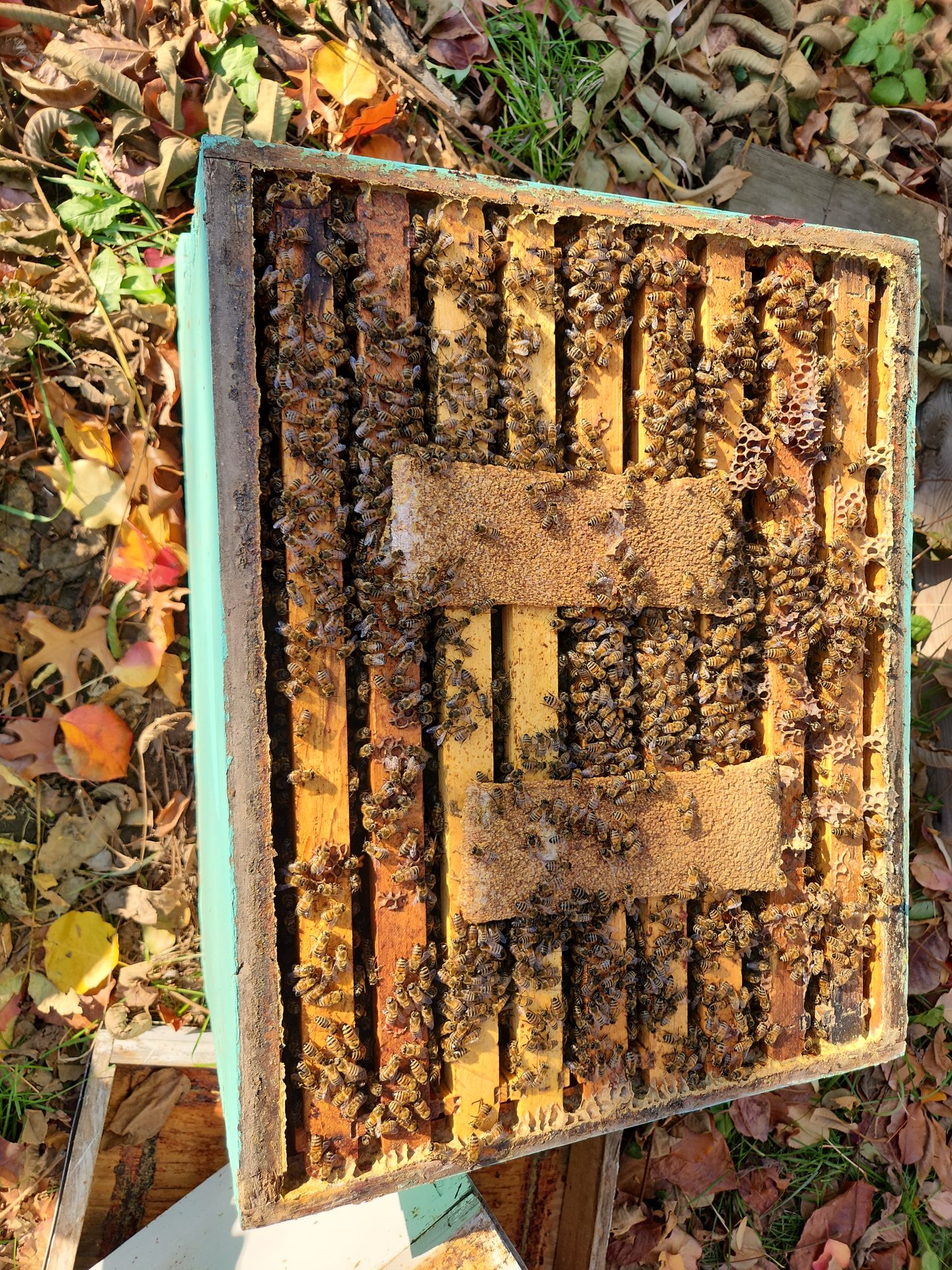 Minding Your Bees and Cues