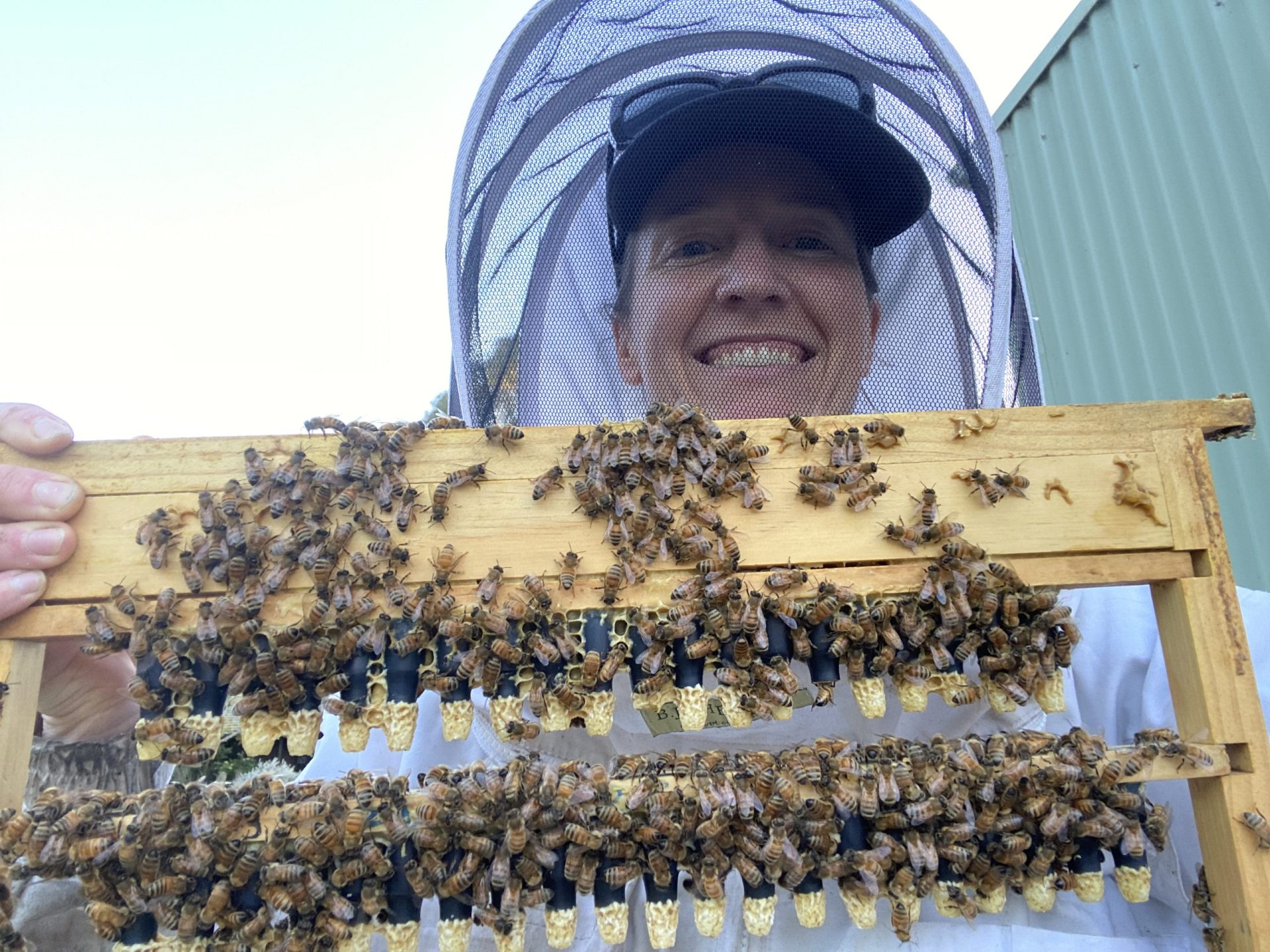 Minding Your Bees and Cues