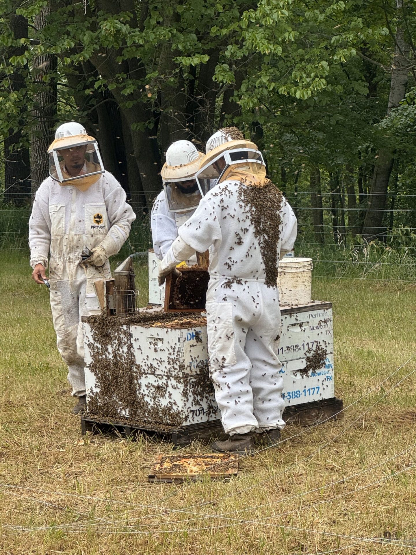 Minding Your Bees and Cues