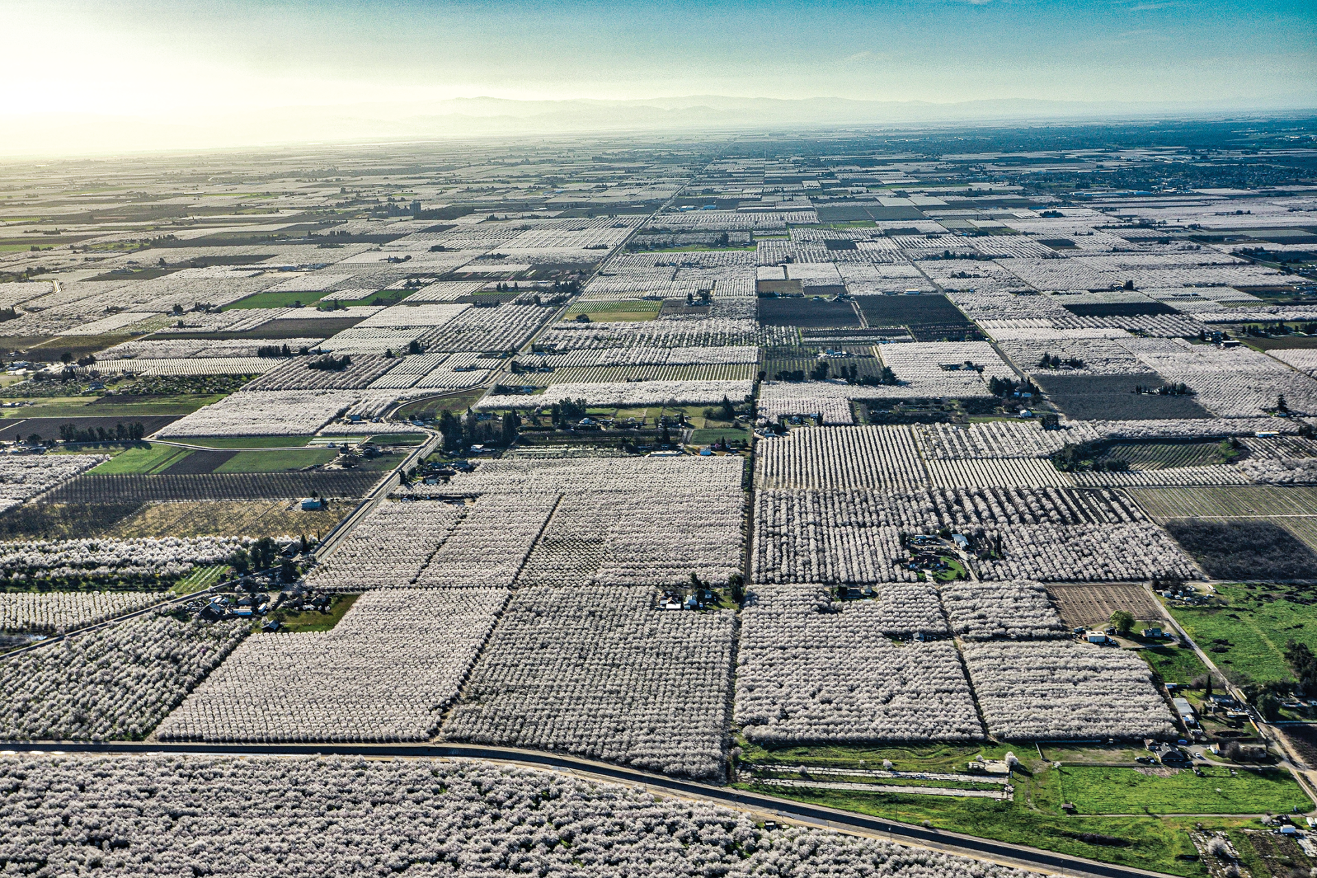 Minding Your Bees and Cues