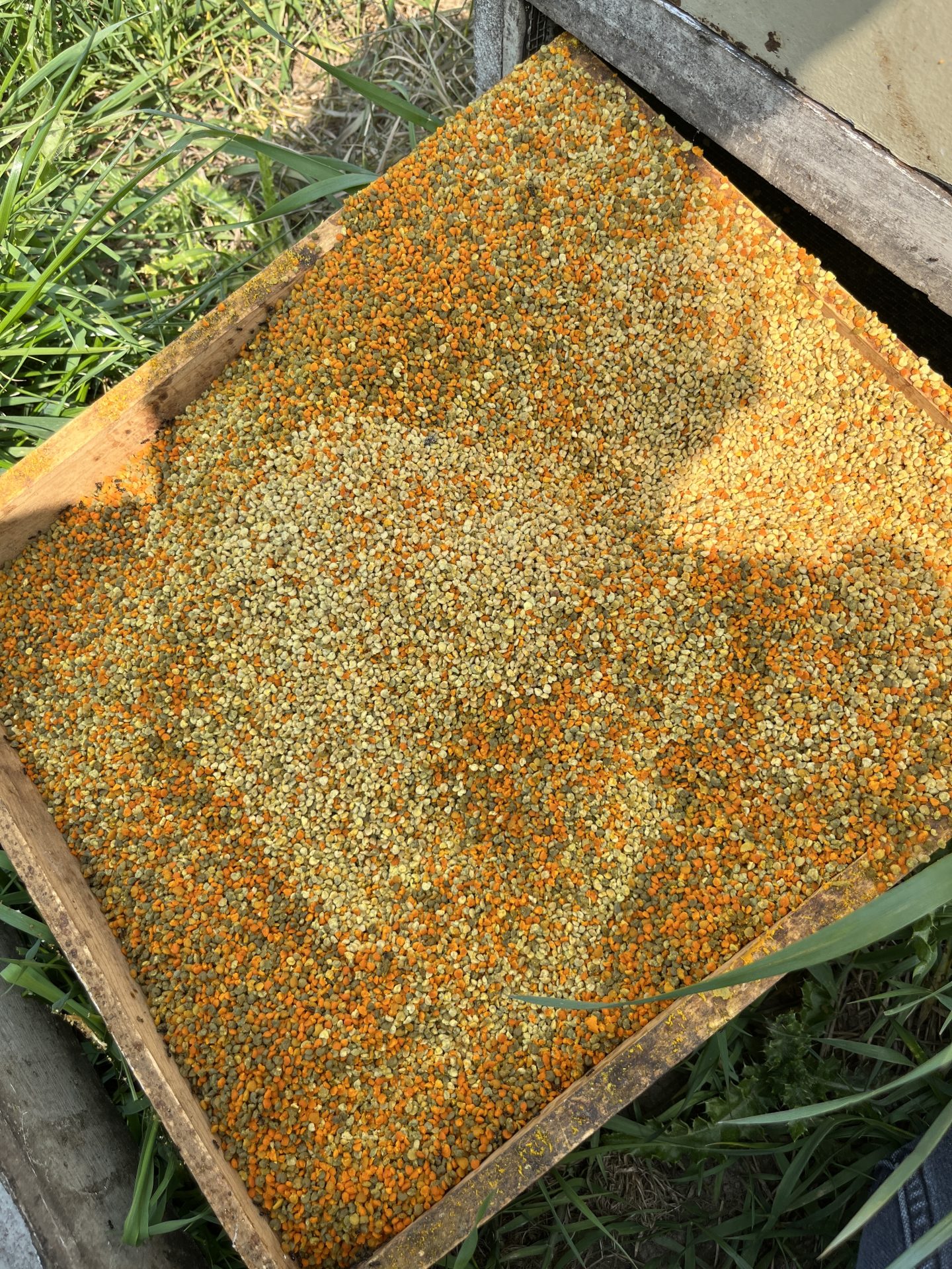 Pesticide Residue Testing