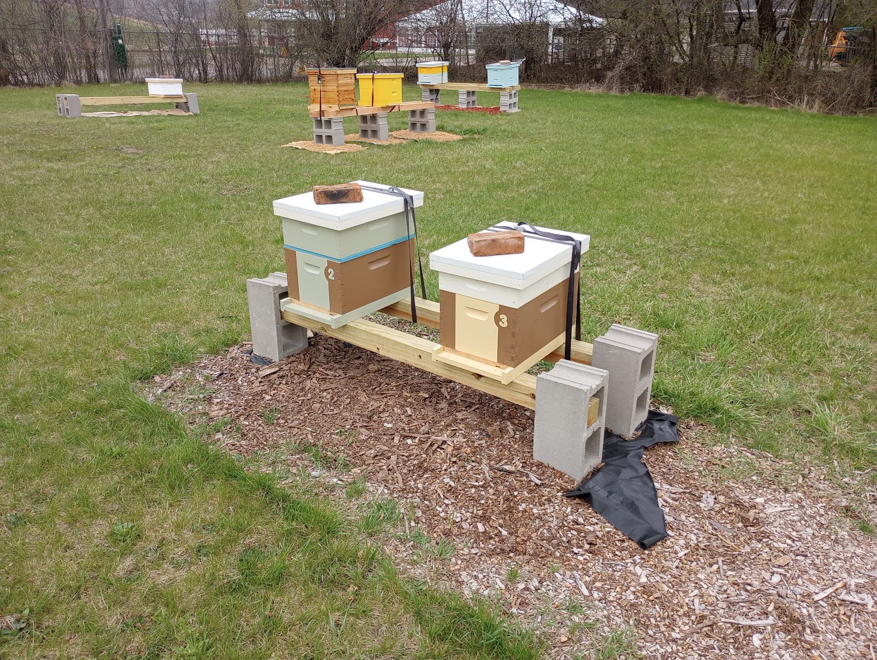 Off the Wahl Beekeeping