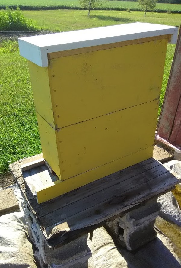 Off the Wahl Beekeeping