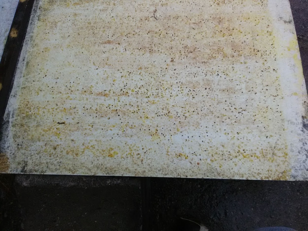 Off the Wahl Beekeeping