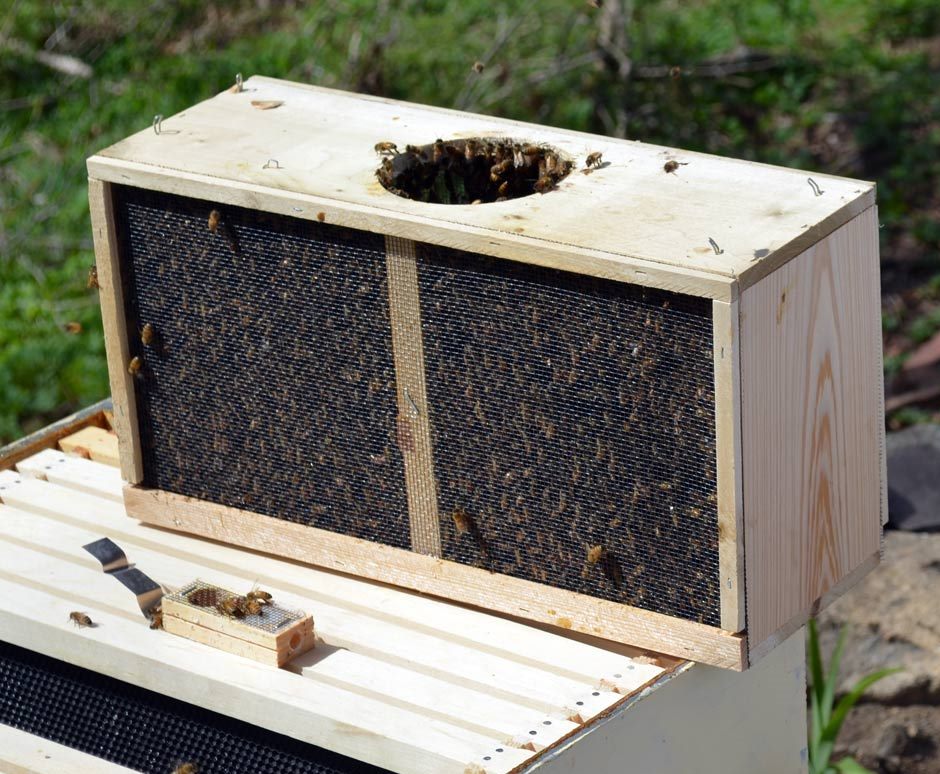 Off the Wahl Beekeeping