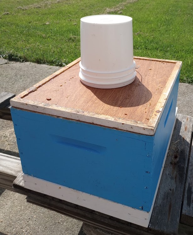 Off the Wahl Beekeeping