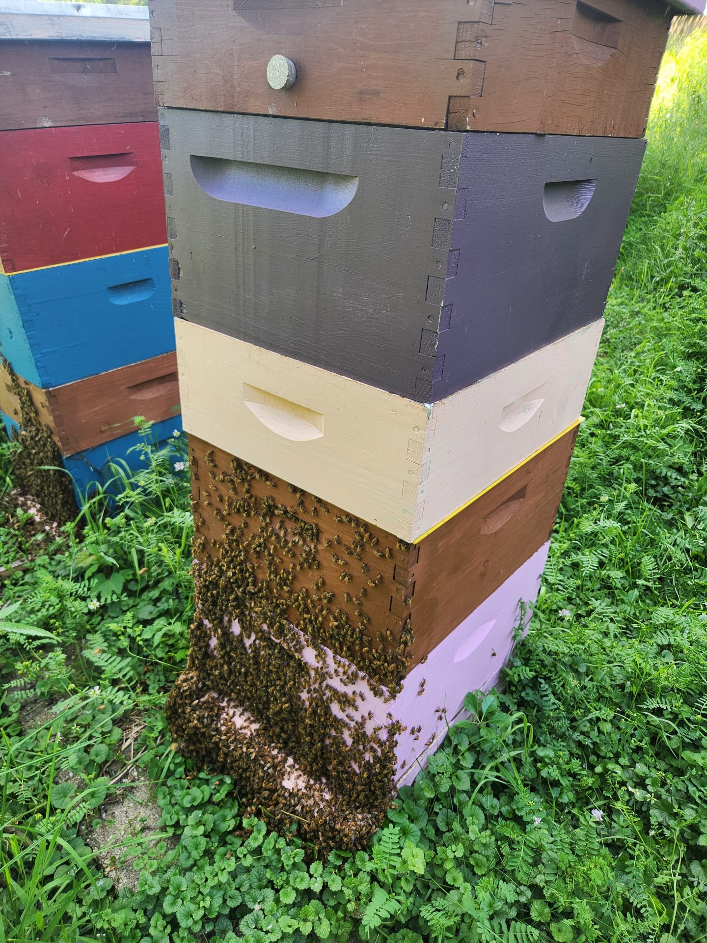 Minding Your Bees and Cues