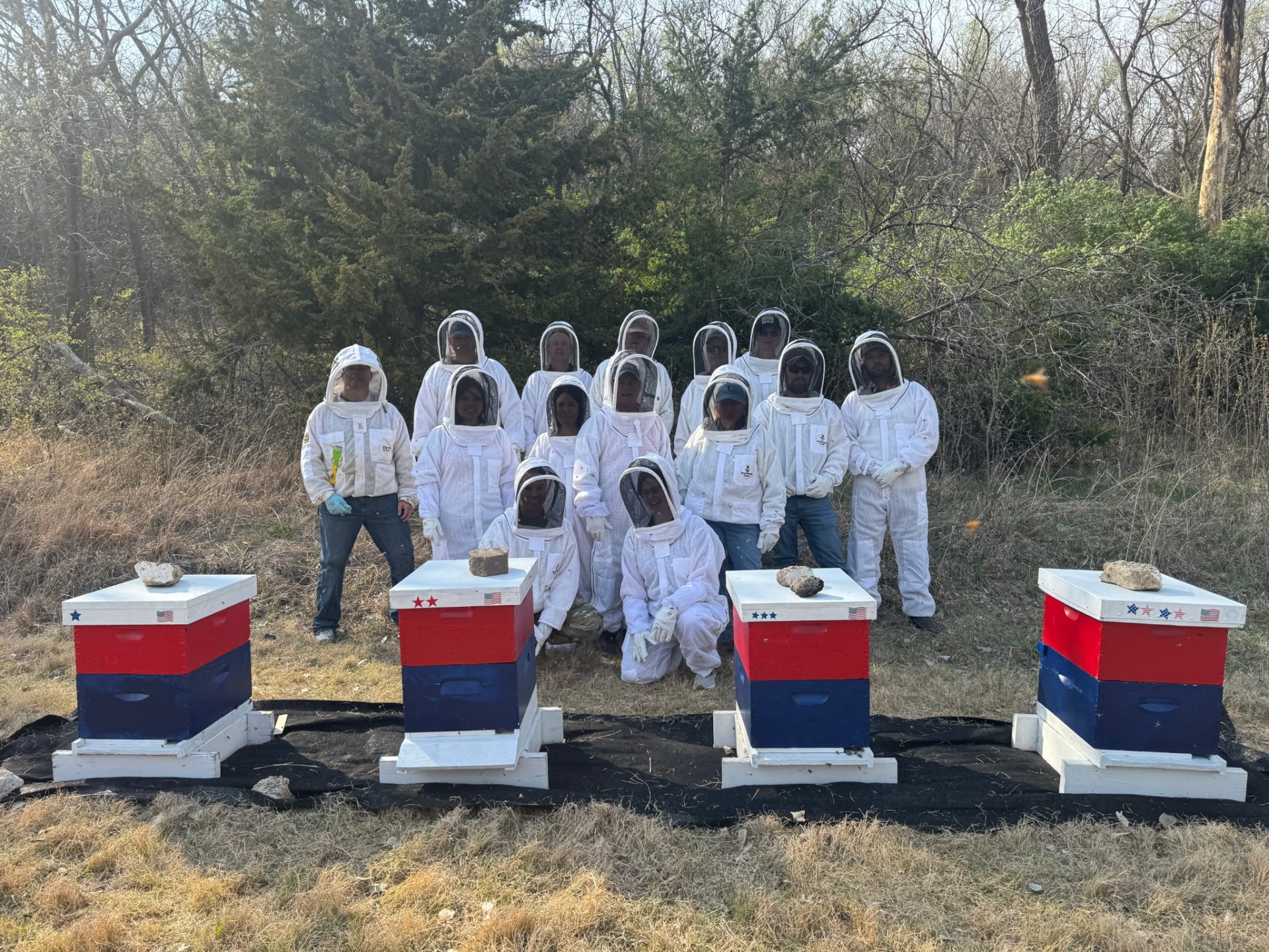 Red, White and Blue Hives