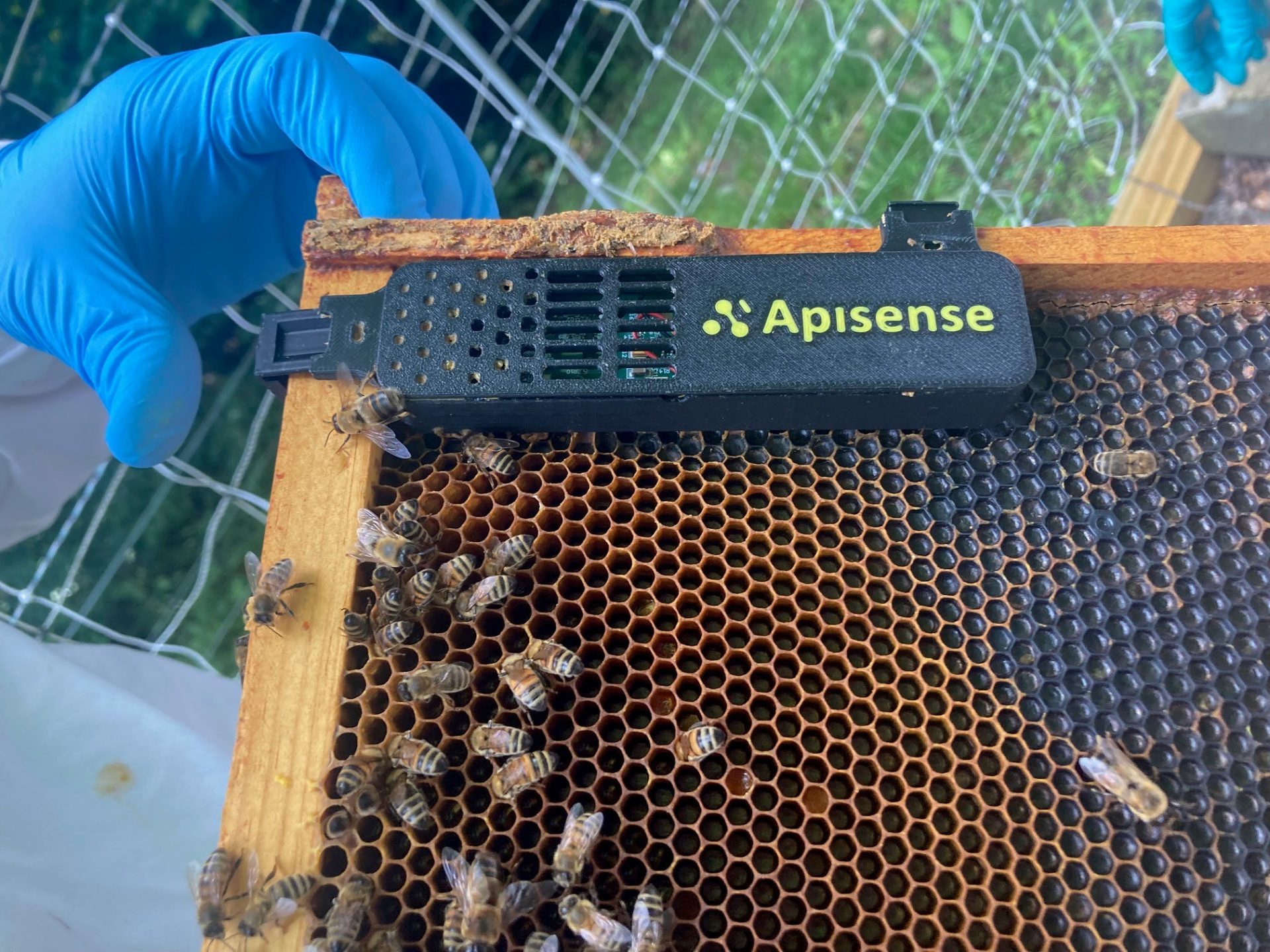 Bee Vet